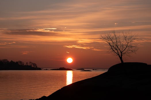 Harnessing the Dawn: Strategic Design for Sunrise Landscaping