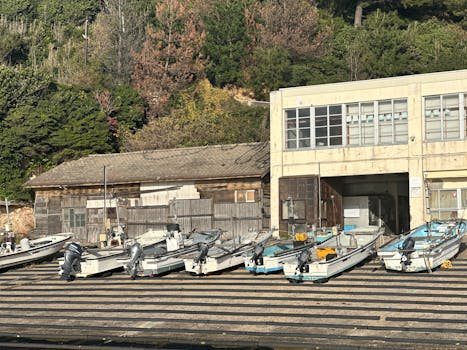 The Unseen Tides: Why a Maritime Injury Attorney is More Than Just Legal Counsel