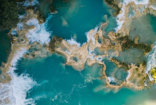 Beyond Off-the-Shelf: Why Your Business Needs a Tailored Digital Hub