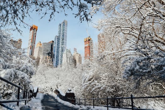 Beyond the Off-the-Shelf: Why a New York Custom Software Partner is Your Competitive Edge