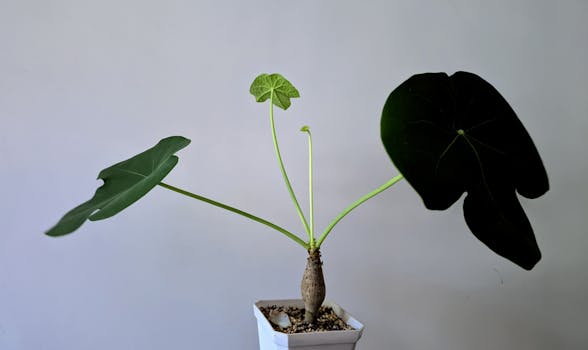 Unlocking Your Home’s Unconventional Charm: What Really Makes Decor Quirky?