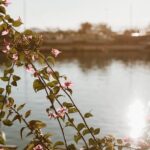 Beyond the Dock: Unpacking the Nuances of Lakeshore Loans