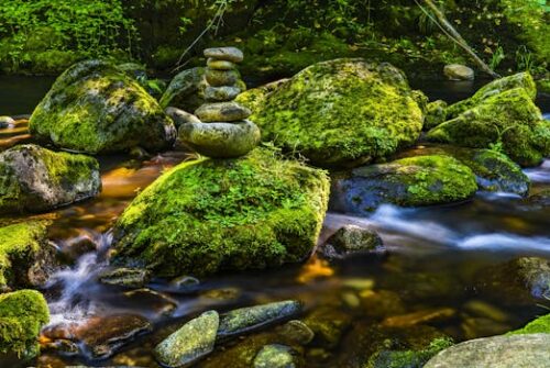 The Unseen Architects: Rethinking Landscaping Boulders in Your Garden