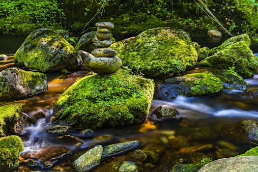 The Unseen Architects: Rethinking Landscaping Boulders in Your Garden