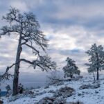 Mastering February Scholarships: Unlocking Funding Opportunities This Winter